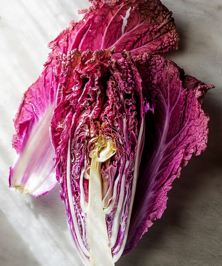 Napa Cabbage Salad Recipe Exploring Vegan